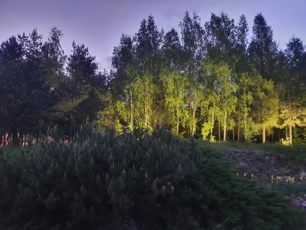 Вілла Nad Dabrowka Mala Huta Екстер'єр фото